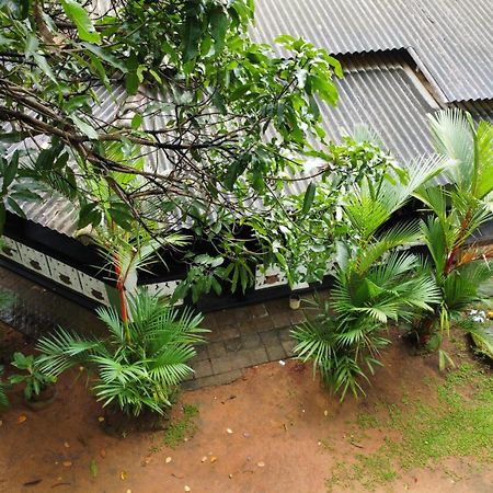 Green Bamboo House 시기리야 외부 사진