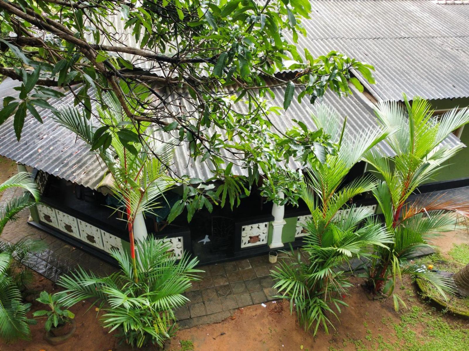Green Bamboo House 시기리야 외부 사진