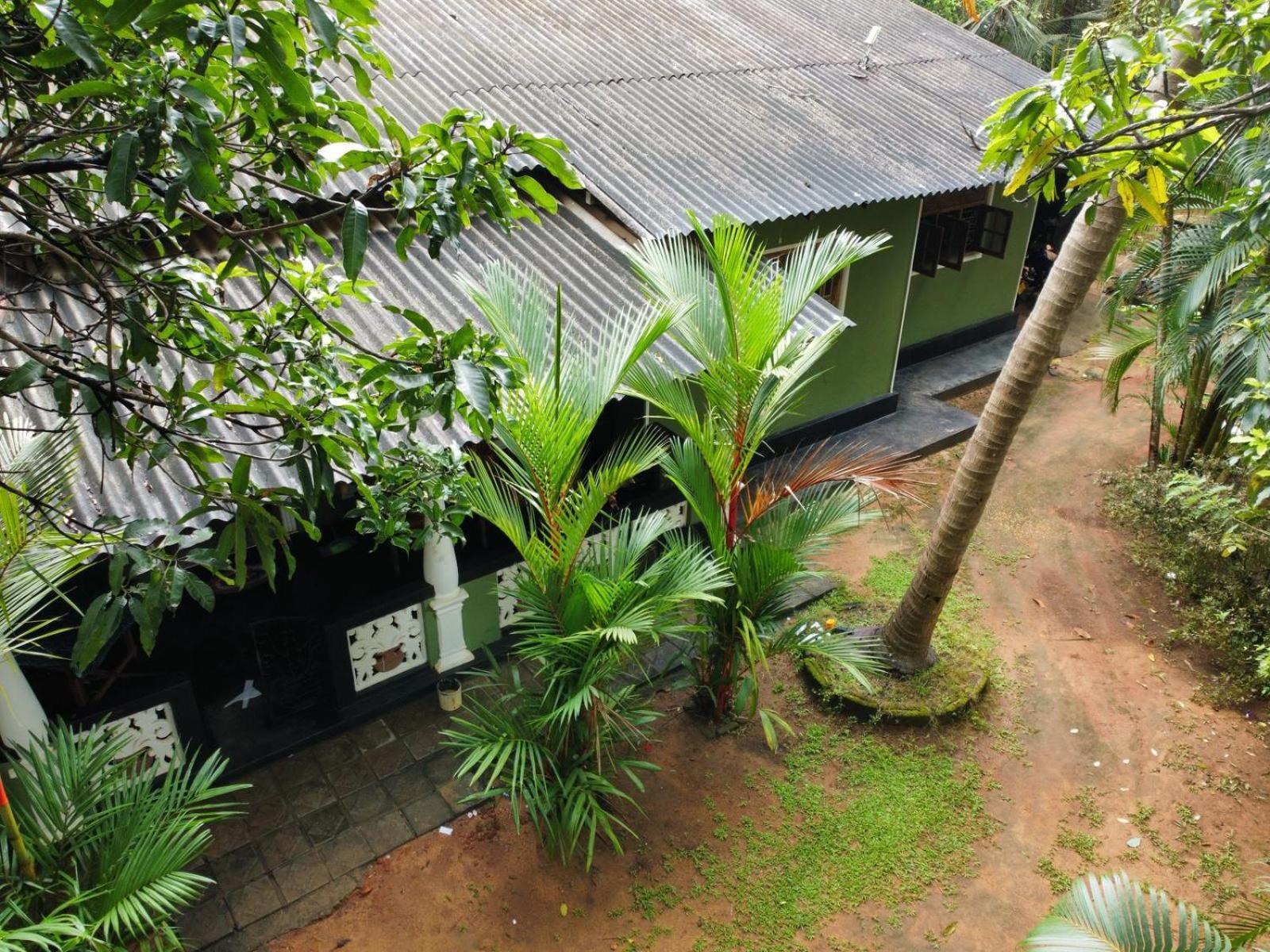Green Bamboo House 시기리야 외부 사진