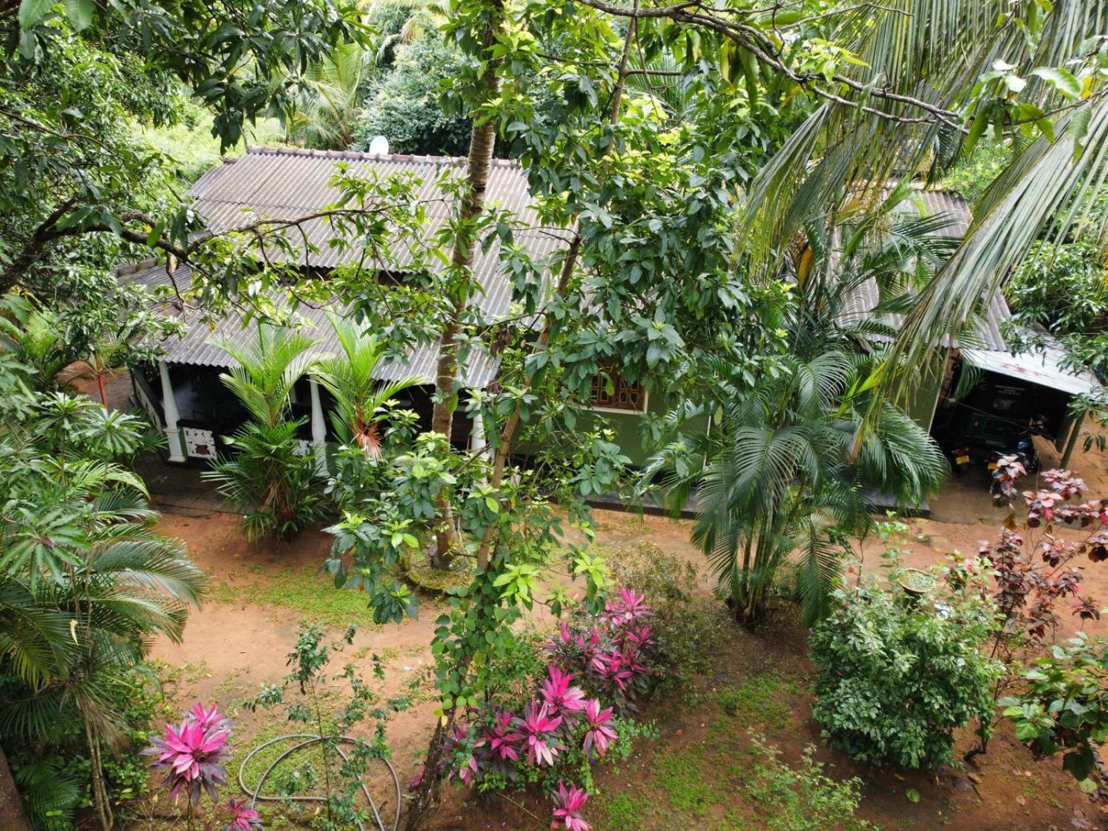 Green Bamboo House 시기리야 외부 사진